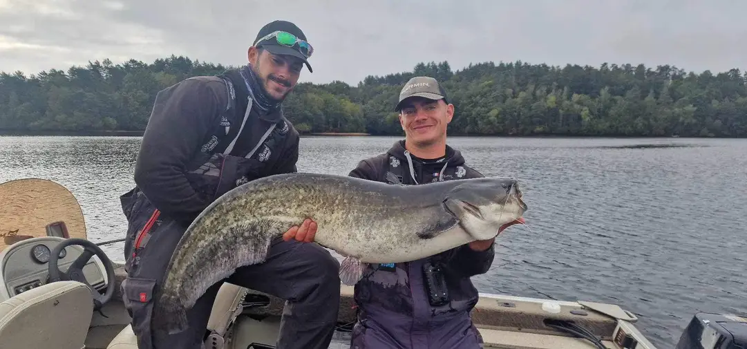 pêcher le sillure à marcillac la croisille